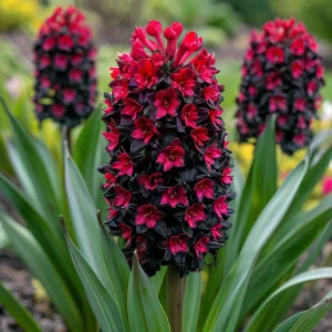 Гиацинт Джем Стоун купить по цене от 2099р. в интернет-магазине «Посадика» с доставкой почтой в в Донецке и по всей России – [изображение №1].