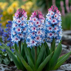 Гиацинт Пинк Мари купить по цене от 2099р. в интернет-магазине «Посадика» с доставкой почтой в в Донецке и по всей России – [изображение №1].