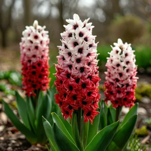 Гиацинт Скай Гарден купить по цене от 2099р. в интернет-магазине «Посадика» с доставкой почтой в в Донецке и по всей России – [изображение №1].